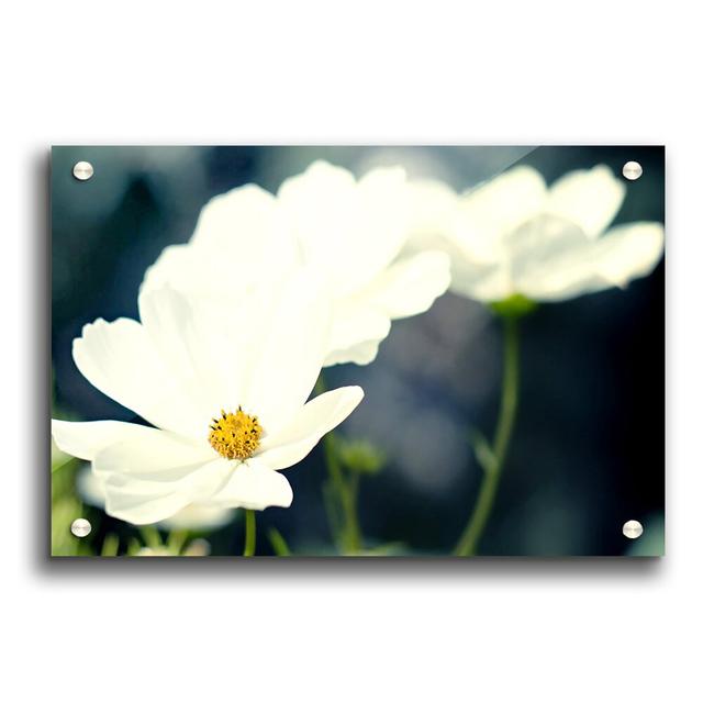 Lens Painting Flowers - Unframed Photograph Print on Acrylic East Urban Home Size: 84.1cm H x 118.9cm W on Productcaster.