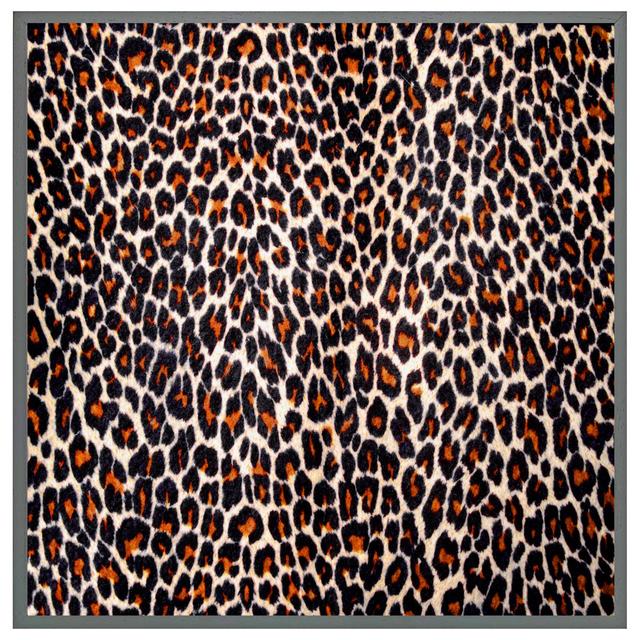 Menoken Print Of Leopard Skin - Single Picture Frame Art Prints Fairmont Park Frame Colour: Grey Framed, Size: 76cm H x 76cm W x 4cm D on Productcaster.