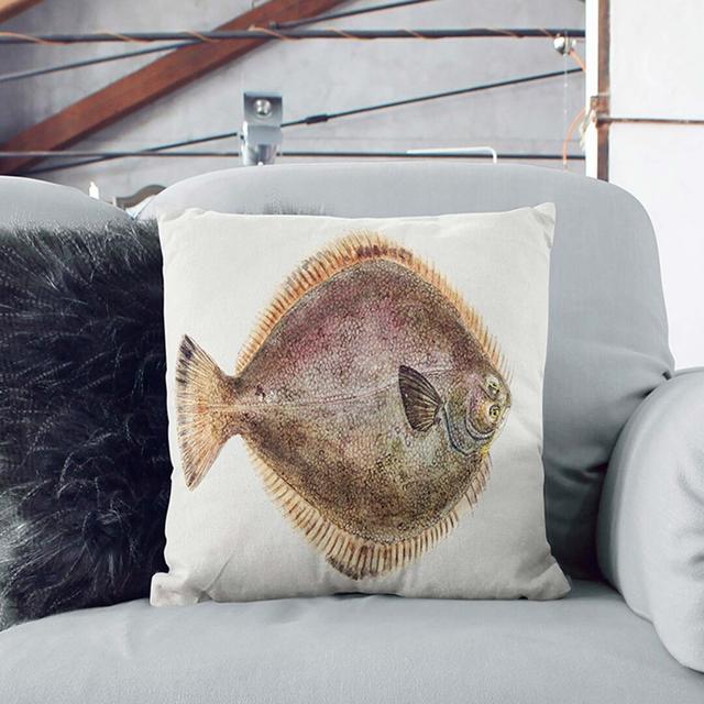 Illustration of a Flounder Fish by F.E. Clarke Cushion with Filling East Urban Home Size: 55cm H x 55cm W x 20cm D on Productcaster.