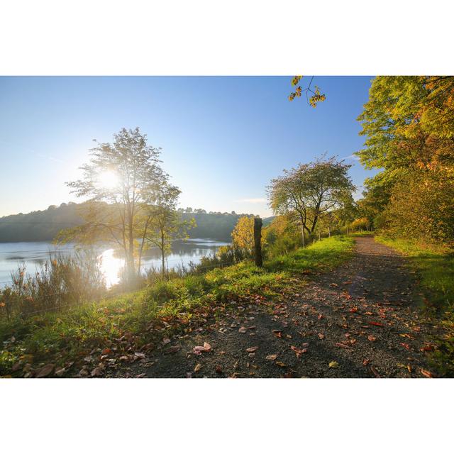 Vulkaneifel by Jorisvo - Wrapped Canvas Photograph Latitude Run Size: 30cm H x 46cm W on Productcaster.