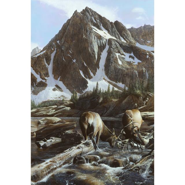 Mountainside Elk II by Kevin Daniel - Wrapped Canvas Print Union Rustic Size: 46cm H x 30cm W on Productcaster.