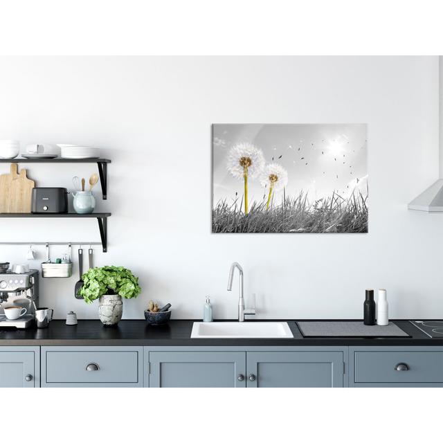 Dandelion Clocks On A Meadow - No Frame Print on Glass Brayden Studio Size: 70cm H x 100cm W x 0.4cm D on Productcaster.