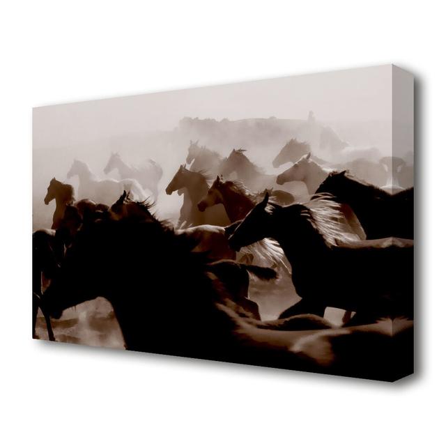 'Wild Horses Running Wild Life' - Canvas Photographic Print East Urban Home Size: 81.3 cm H x 121.9 cm W on Productcaster.