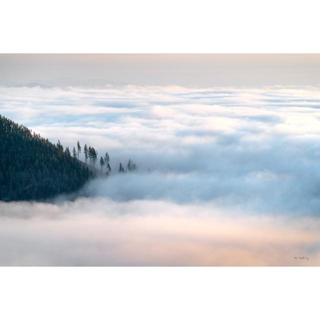 Fog And Forest III by Alan Majchrowicz - Wrapped Canvas Art Prints Alpen Home Size: 30cm H x 46cm W x 3.8cm D on Productcaster.