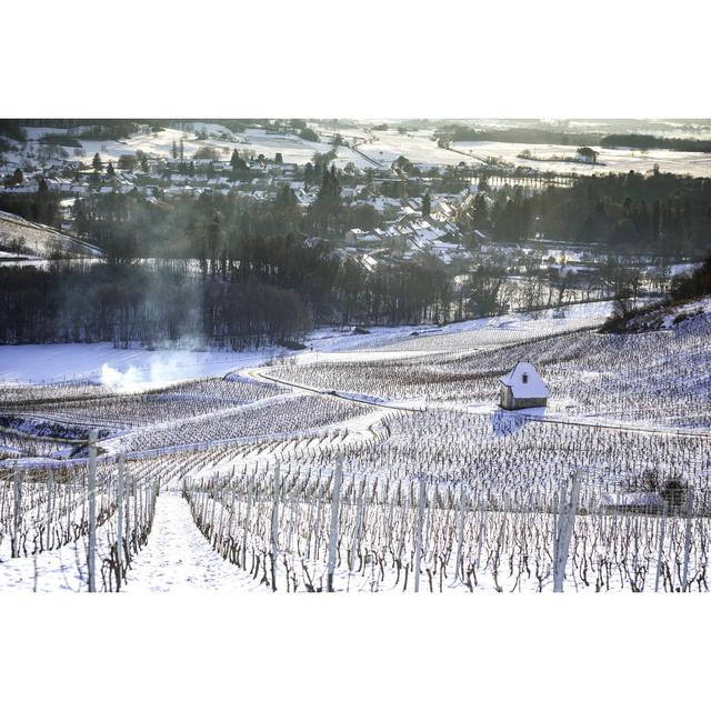 Flensburg Vine Of The Jura, France - Wrapped Canvas Print Alpen Home Size: 20cm H x 30cm W 3.8cm D on Productcaster.