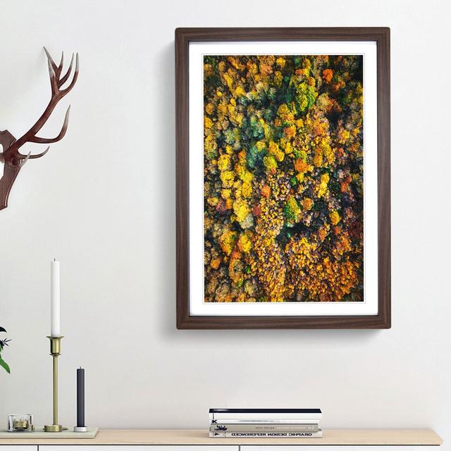 One Hundred Trees - Picture Frame Painting Print East Urban Home Frame Option: Walnut Framed, Size: 48cm H x 36cm W x 2cm D on Productcaster.