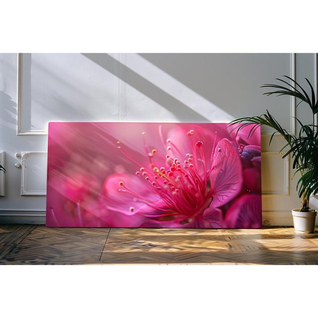 Wandbild 120x60cm Blume Blüte Rosa Nahaufnahme Natur Makro PaulSinusArt on Productcaster.