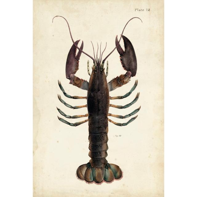 Vintage Lobster Highland Dunes Size: 76cm H x 51cm W x 3.8cm D on Productcaster.