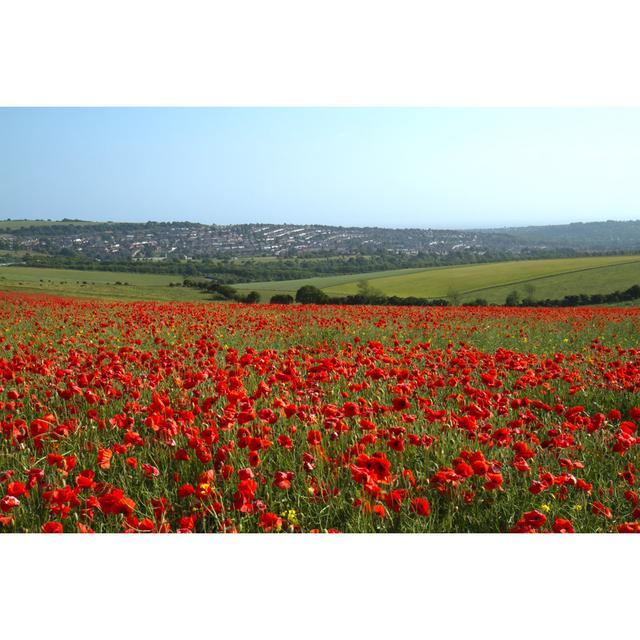 Ellensburg Poppy Field - Wrapped Canvas Print Alpen Home Size: 51cm H x 76cm W x 3.8cm D on Productcaster.