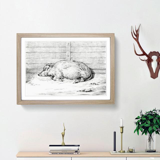 A Sleeping Pig by Jean Bernard - Picture Frame Drawing Print on Paper East Urban Home Frame Option: Oak Framed, Size: 33cm H x 45cm W x 2cm D on Productcaster.