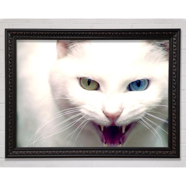 Wild Silver Cat - Single Picture Frame Art Prints Bright Star Size: 29.7cm H x 42cm W on Productcaster.