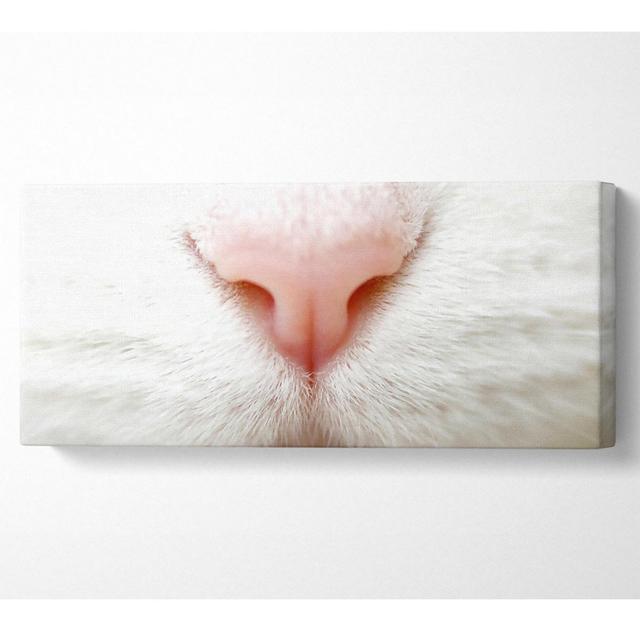 Cat Nose 2 Panoramaleinwand Haus am Meer Größe: 71cm H x 162,5cm B on Productcaster.