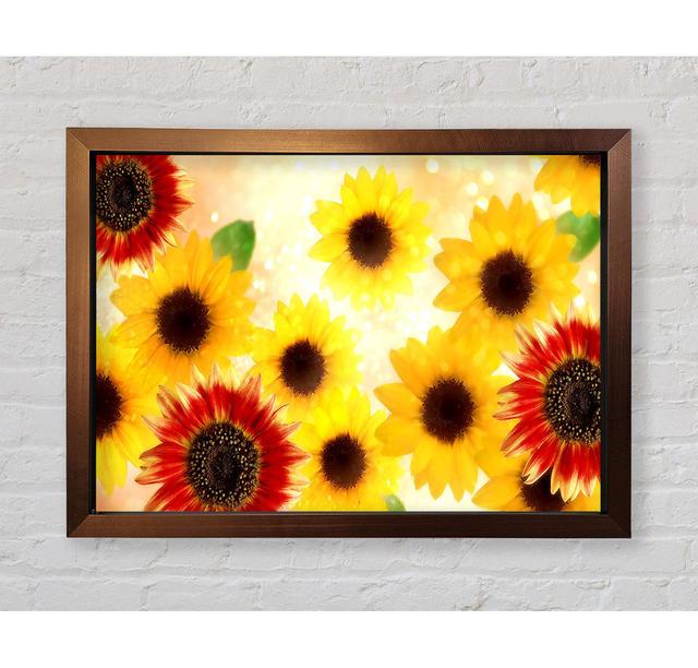 Sunflower Faces - Single Picture Frame Art Prints Bright Star Size: 100cm H x 141.4cm W x 3.4cm D on Productcaster.