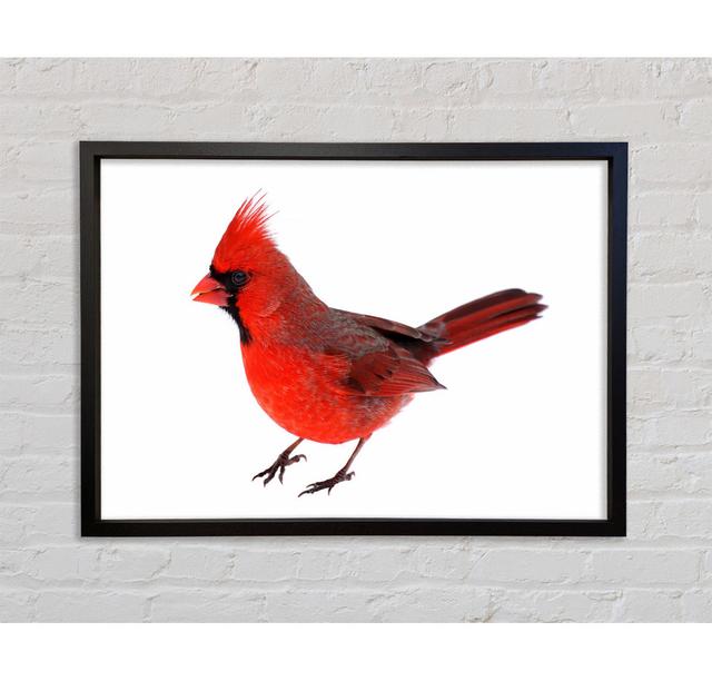 Scarlet Tanager Bird - Single Picture Frame Art Prints on Canvas Bright Star Size: 59.7cm H x 84.1cm W x 3.3cm D on Productcaster.