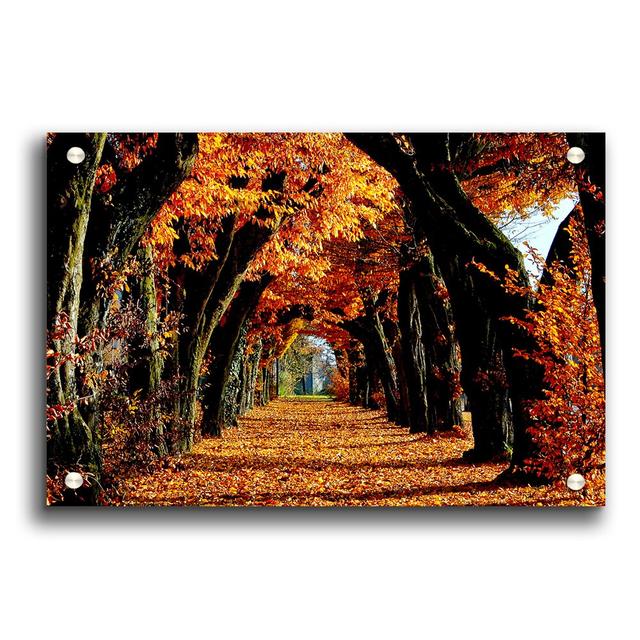 Beautiful Path Portrait - Unframed Photograph Print on Acrylic East Urban Home Size: 29.7cm H x 42cm W on Productcaster.