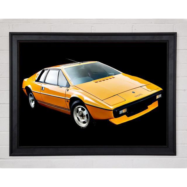 Classic Lotus Esrite - Single Picture Frame Art Prints Ebern Designs Size: 21" H x 29.7" W x 1.5" D on Productcaster.