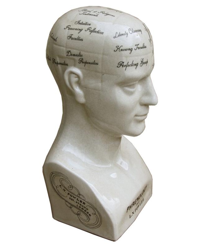 Large Distressed Glazed Ceramic Phrenology Head Bust Castleton Home on Productcaster.