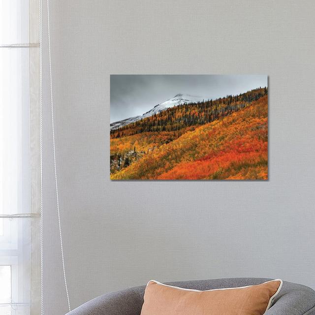 Shades of Autumn by Bill Sherrell - Wrapped Canvas Graphic Art Alpen Home Size: 45.72cm H x 66.04cm W x 1.91cm D on Productcaster.