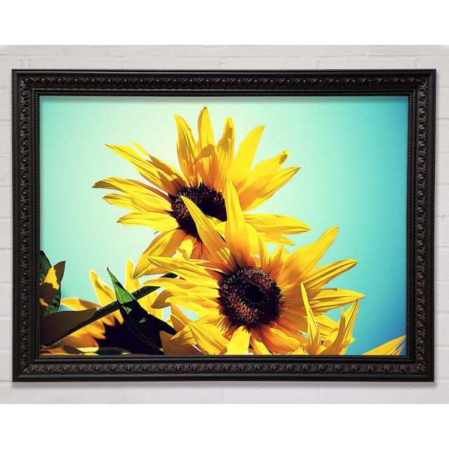 Sunflowers Against Blue Sky - Print Bright Star Size: 42cm H x 59.7cm W on Productcaster.