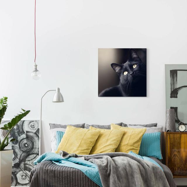 Leinwandbild Schwarze Katze - Portrait East Urban Home Größe: 90 L x 90 B on Productcaster.