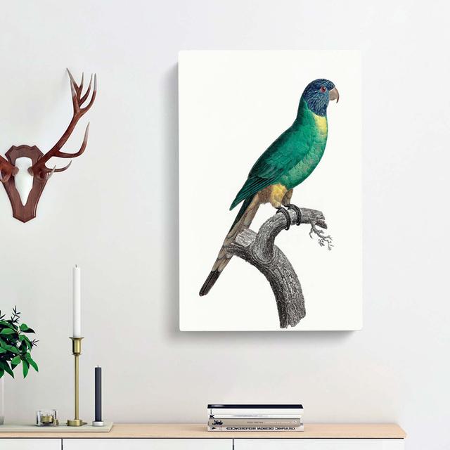 Blue-Crowned Parakeet by F. Levaillant - Wrapped Canvas Painting Print East Urban Home Size: 50cm H x 35cm W x 3cm D on Productcaster.