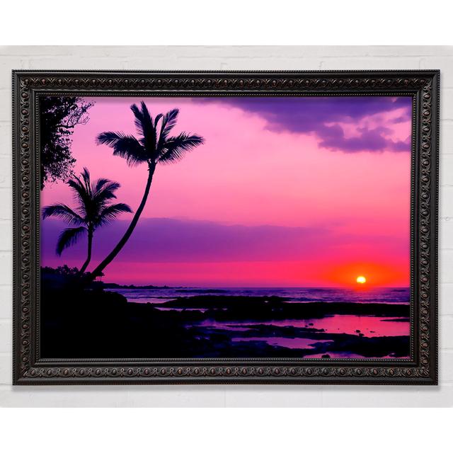 Blaze Of The Palmtree Sun Framed Print Bright Star Size: 59.7cm H x 84.1cm W x 3cm D on Productcaster.