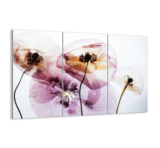 Flowers Body Filmstrip - 3 Piece Unframed Graphic Art Print Set on Glass Latitude Run Size: 110cm H x 165cm W x 1.8cm D on Productcaster.