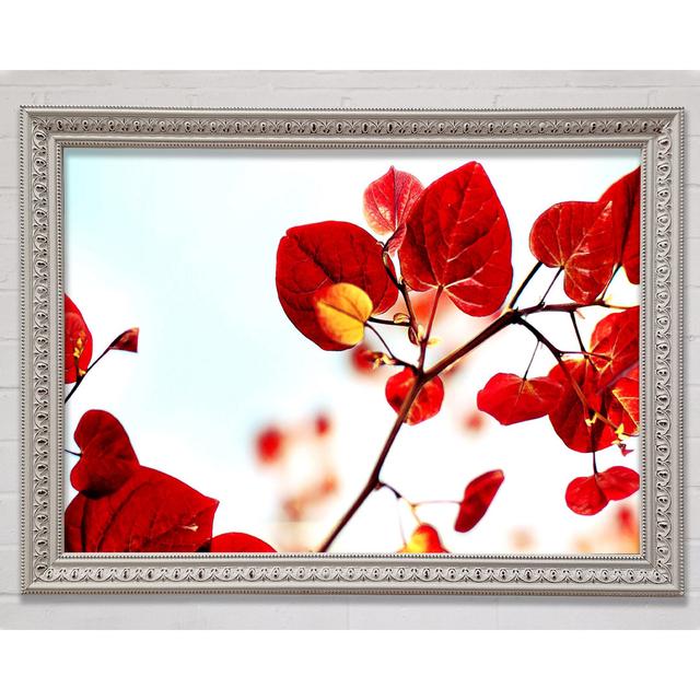 Single Picture Frame Art Prints Bright Star Size: 84.1cm H x 118.9cm W on Productcaster.