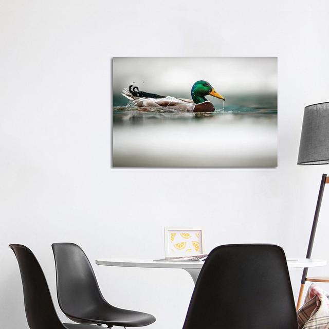 Winter Mallard by Mateusz Piesiak - Wrapped Canvas Print Brambly Cottage Size: 66.04cm H x 101.6cm W x 3.81cm D on Productcaster.