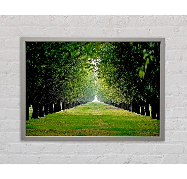 Orchard - Print Ebern Designs Size: 84.1cm H x 118.9cm W x 3.3cm D, Format: White Framed Canvas on Productcaster.