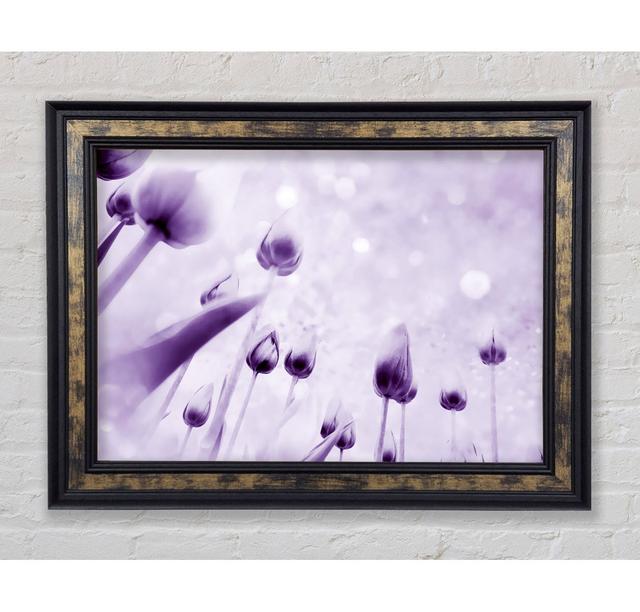 Attention Lilac - Single Picture Frame Art Prints Ebern Designs Size: 84.1cm H x 142.2cm W x 8cm D on Productcaster.