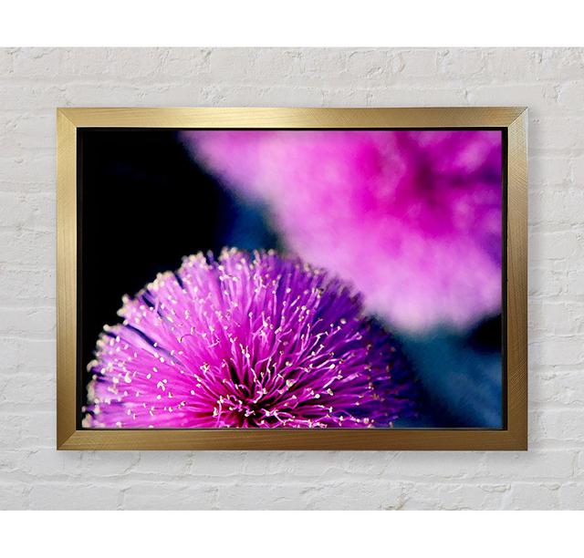 Cerise Pink Pom Poms - Single Picture Frame Print Brayden Studio Size: 100cm H x 141.4cm W x 3.4cm D, Format: Gold Framed Paper on Productcaster.