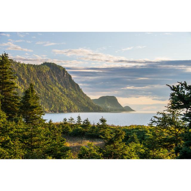 Quã Bec View From Bic National Park by Damien VERRIER - Wrapped Canvas Print Union Rustic Size: 30cm H x 46cm W x 3.8cm D on Productcaster.