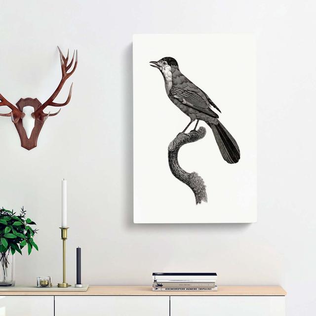 Golden Jay Bird by Jacques Barraband - Wrapped Canvas Painting Print East Urban Home Size: 50cm H x 35cm W x 3cm D on Productcaster.