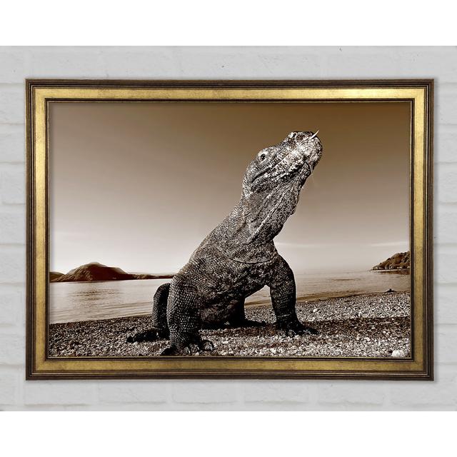 Beach Komodo Dragon - Print Ebern Designs Size: 42.1cm H x 59.7cm W x 1.5cm D on Productcaster.