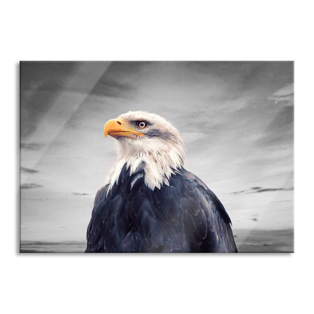 Ungerahmtes Foto auf Glas "Bald Eagle at Sunset" Union Rustic Größe: 70 cm H x 100 cm B x 0,4 cm T on Productcaster.