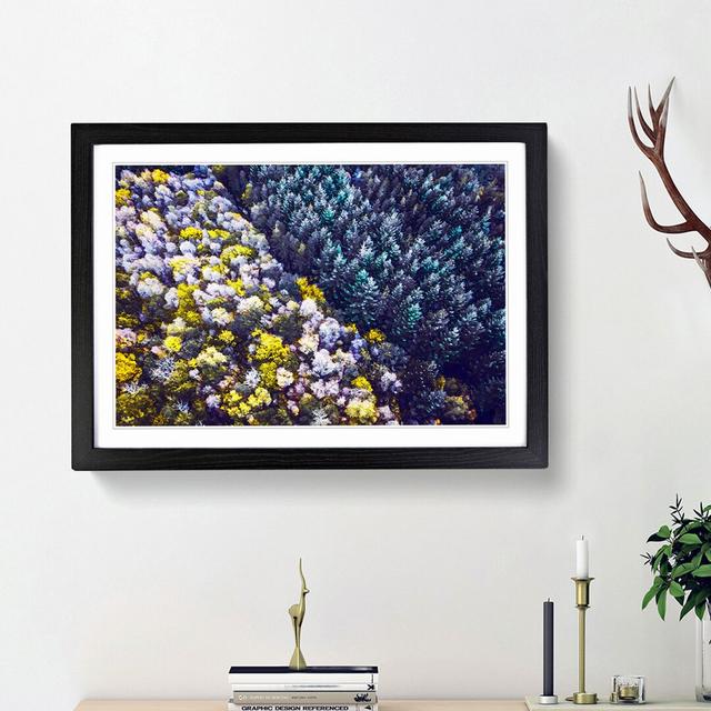 Two Forests in Denmark - Picture Frame Graphic Art Print East Urban Home Frame Option: Black Framed, Size: 36cm H x 48cm W x 2cm D on Productcaster.