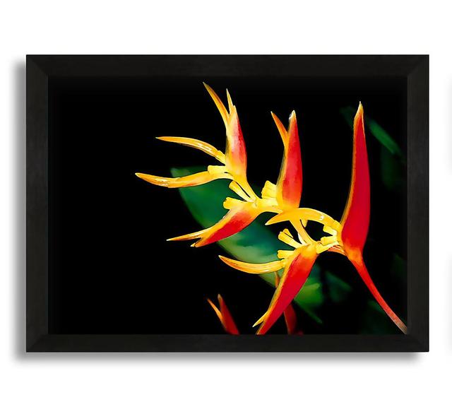 Gerahmtes Leinwandbild Bird of Paradise in Sunlight Ebern Designs Größe: 42 cm H x 60 cm B x 10 cm T on Productcaster.