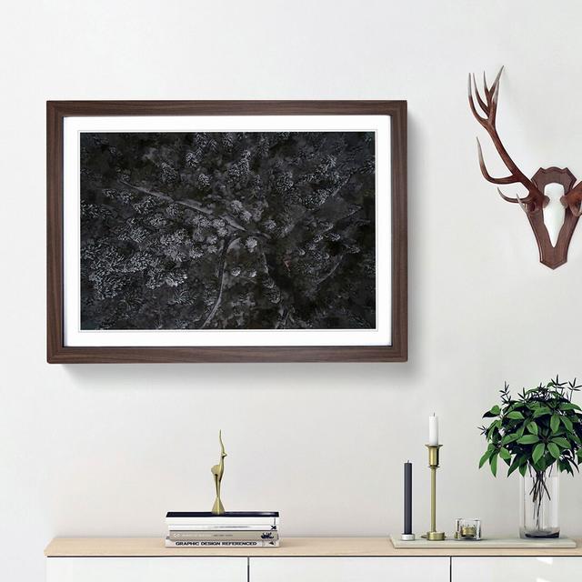 Moody Winter Forest - Picture Frame Graphic Art Print East Urban Home Frame Option: Walnut Framed, Size: 62cm H x 87cm W x 2cm D on Productcaster.