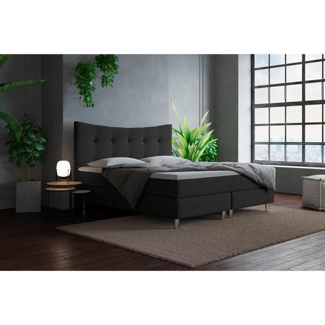 Echtes Boxspringbett Lado mit Kaltschaum Topper ModernMoments Farbe: Dunkelgrau, Größe: 140 x 200 cm, Matratzenhärte: H2 - bis zu ca. 75 kg / H3 - ca. on Productcaster.