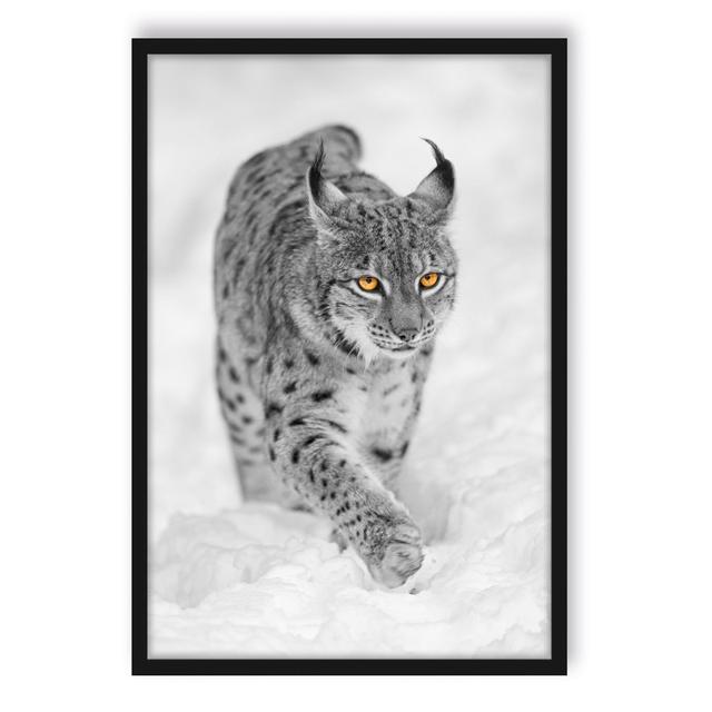 Gerahmtes Foto "Beautiful Lynx in the Snow" ModernMoments Größe: 38 cm H x 30 cm B x 2.5 cm T on Productcaster.