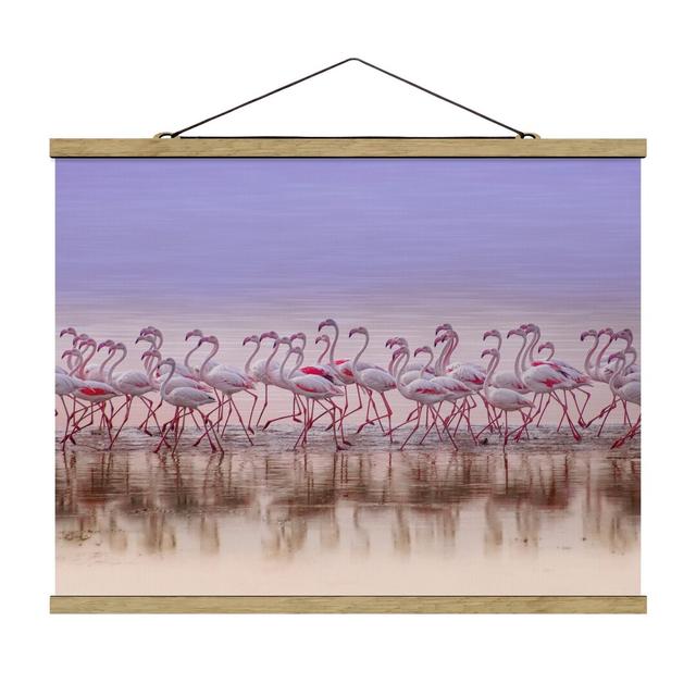 Flamingo Party - Photograph Print Pergo Classics Size: 75cm H x 100cm W x 0.3cm D on Productcaster.