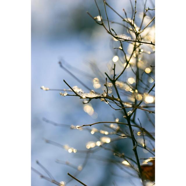 Winter Tree Branches With Lights by HeikeKampe - No Frame Art Prints on Canvas 17 Stories Size: 30cm H x 20cm W on Productcaster.