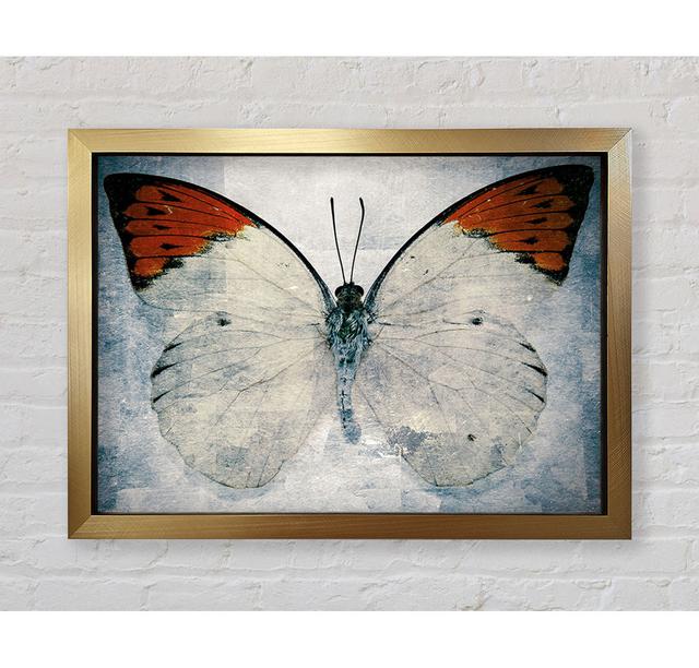 Orange Tipped Butterfly - Print August Grove Size: 42cm H x 59.7cm W x 3.4cm D on Productcaster.