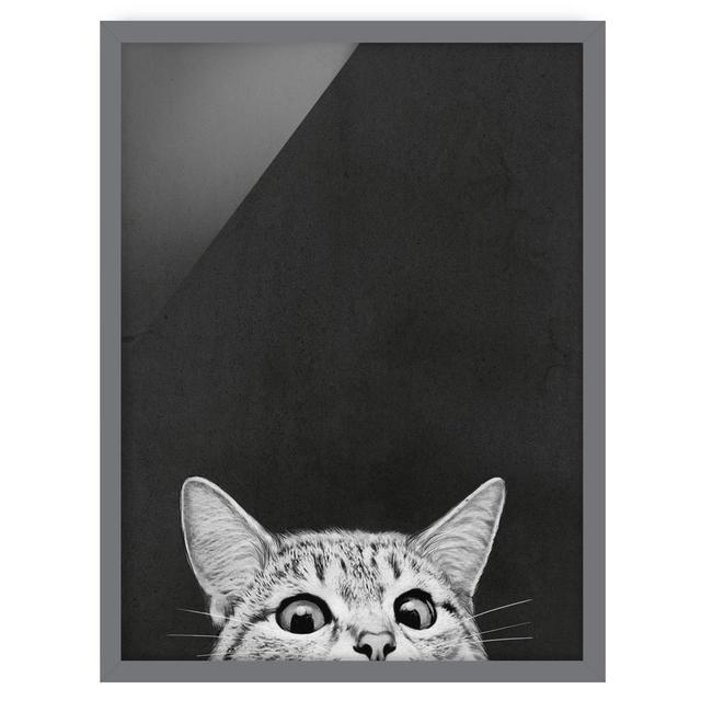 Illustration Cat Black White Drawing - Picture Frame Graphic Art Rosalind Wheeler Frame Option: Grey Framed, Size: 70cm H x 50cm W x 2cm D on Productcaster.