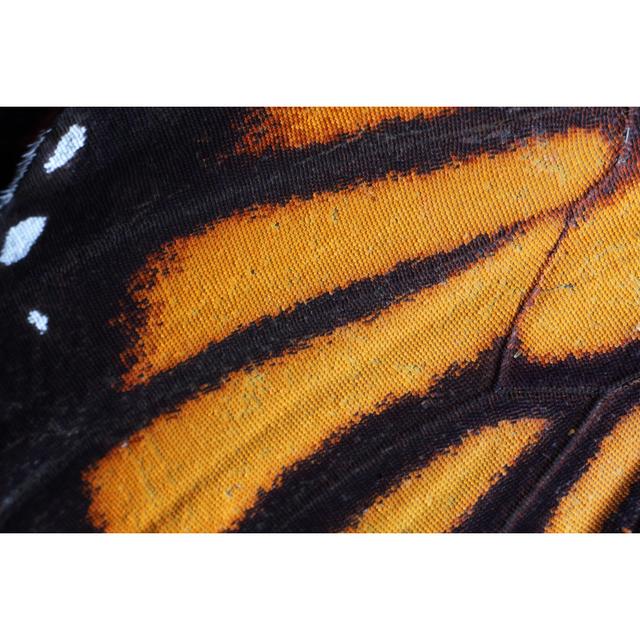 Macro Of Butterfly Wing by Sakhorn38 - Wrapped Canvas Art Prints 17 Stories Size: 75cm H x 50cm W on Productcaster.