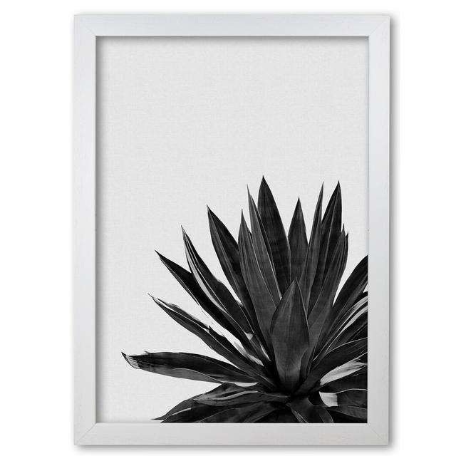 Agave Cactus - Picture Frame Graphic Art Print on Paper East Urban Home Format: White Grain Frame, Size: 60 cm H x 42 cm W x 5 cm D on Productcaster.