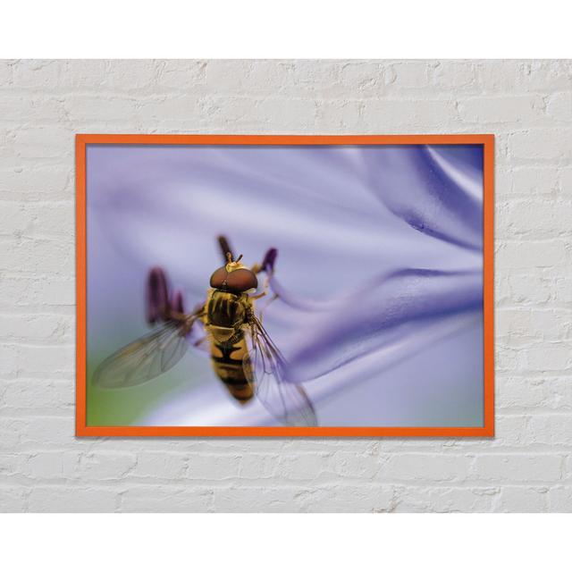 Hover Fly on a Purple Flower - Single Picture Frame Art Prints August Grove Size: 29.7cm H x 42cm W x 2cm D on Productcaster.