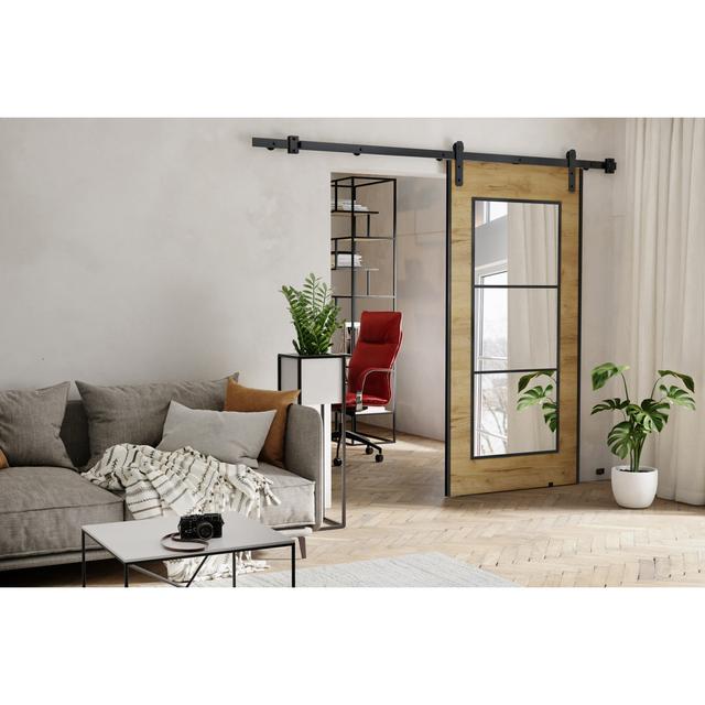 Ketterer Barn Door Brayden Studio Size: 76cm x 205cm, Door Finish: Brown, Number of Doors: 1 on Productcaster.