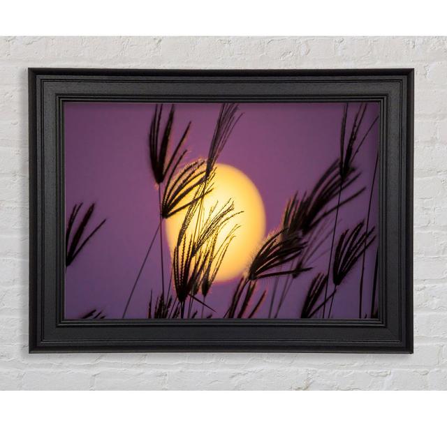 Yellow Sun In The Purple Sky - Single Picture Frame Art Prints Ebern Designs Size: 100cm H x 141.4cm W x 8cm D on Productcaster.